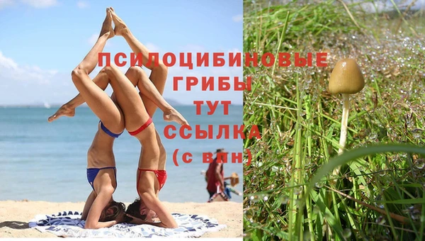 синтетический гашиш Рославль