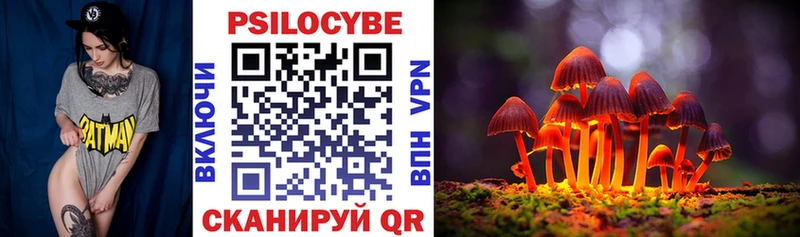 Галлюциногенные грибы ЛСД Теберда